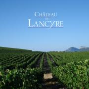 Chateau de Lancyre vigneron en AOC Coteaux du Languedoc Pic Saint Loup