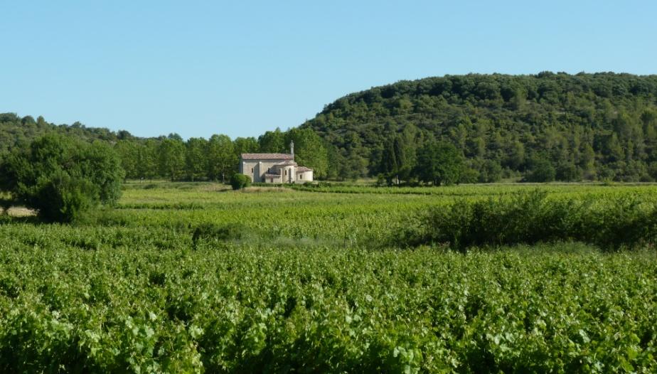 Chapelle d Aleyrac Chateau de Lancyre AOC Coteaux du Languedoc Pic Saint Loup